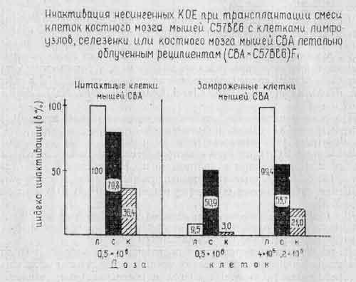 Опыты на летально облученных животных